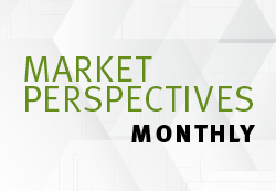 Monthly Market Perspectives